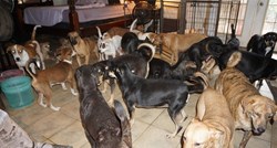Kako bi ih zaštitila od uragana Dorian, primila je u kuću 97 pasa
